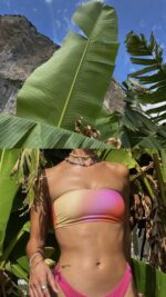 Bikini Tops - Image 2